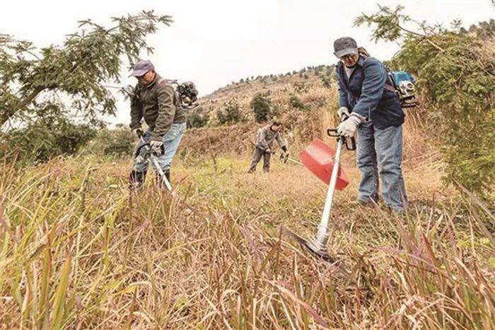 老兵创业的利润,老兵创业致富