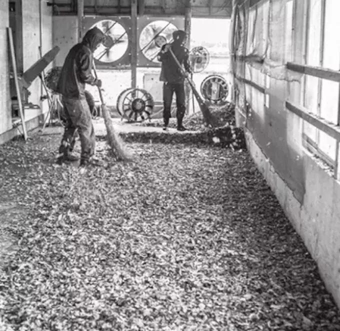 匡威1970s配色最好看的,什么颜色的匡威1970s好看