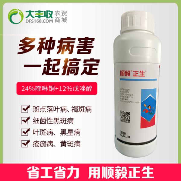 芒果幼果期出新梢怎么办,芒果挂果外皮有黑斑是什么原因