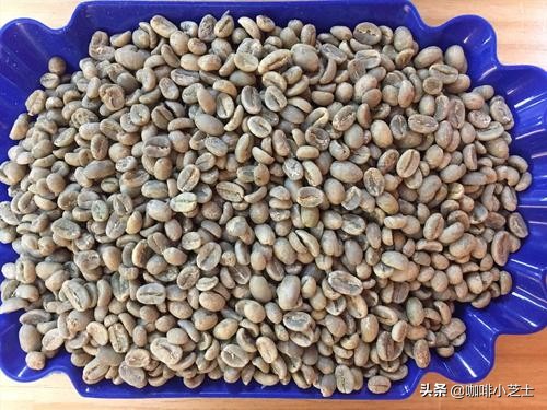 只有现磨咖啡才是正宗吗,真正好喝的咖啡一定是现磨的