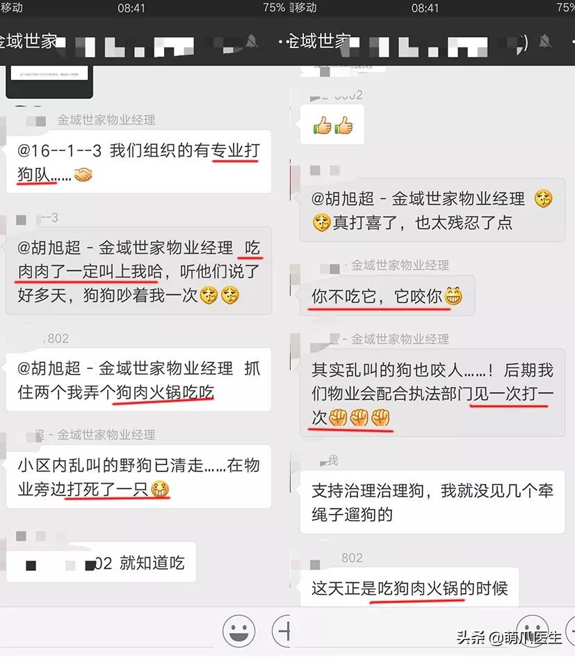 物业给小区流浪猫绝育视频,业主凑20万给流浪猫绝育