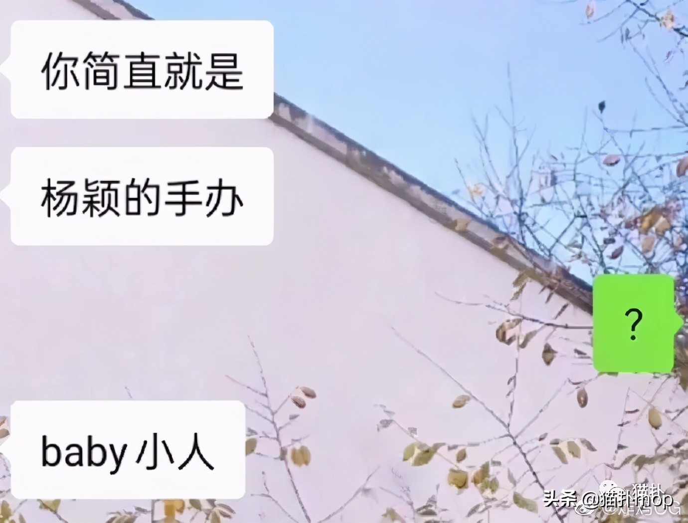 沙雕图|闺蜜是网恋终结者吧？