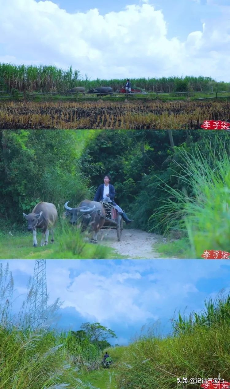 李子柒生活大揭秘,多少人羡慕李子柒的生活