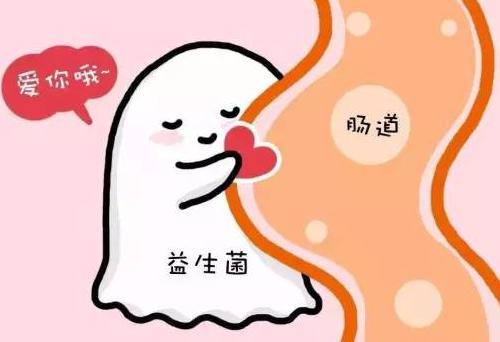 比熊一直拉肚子呕吐怎么办,比熊吃鸭子会拉稀吗