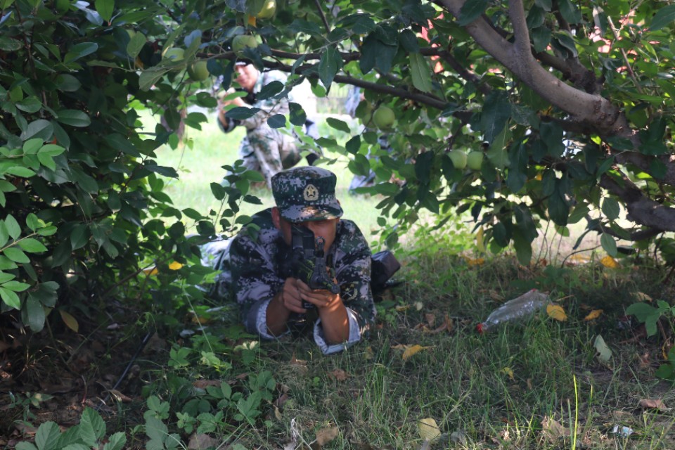 人武部退兵检讨情况报告,人武部批评与自我批评