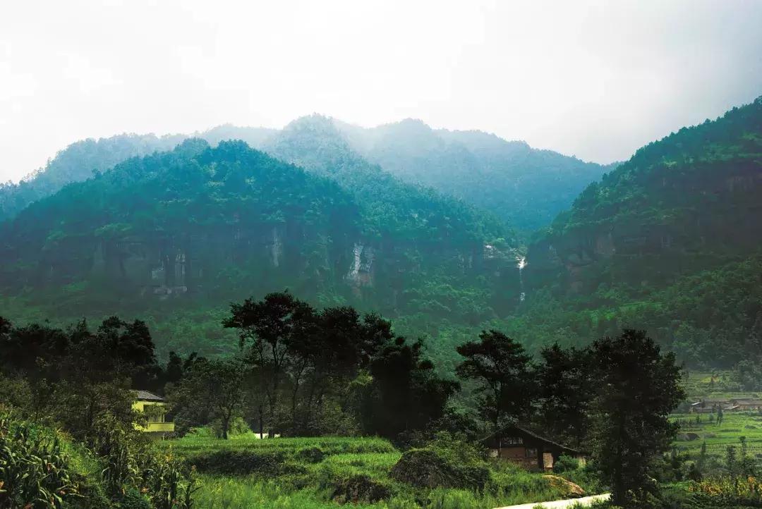 快去綦江的莲花保寨看看，那儿发生了一件事儿