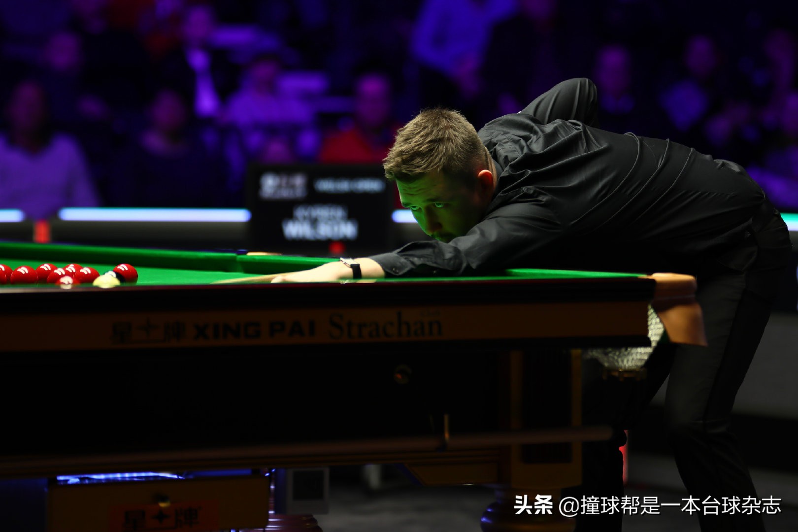 「人艰照拆」记录*诺斯**克球员凯伦·威尔逊过去一年的“人在囧途”