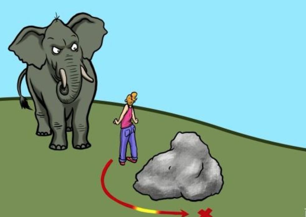 动物遇到危险会怎么做,野外遇到危险动物怎么办