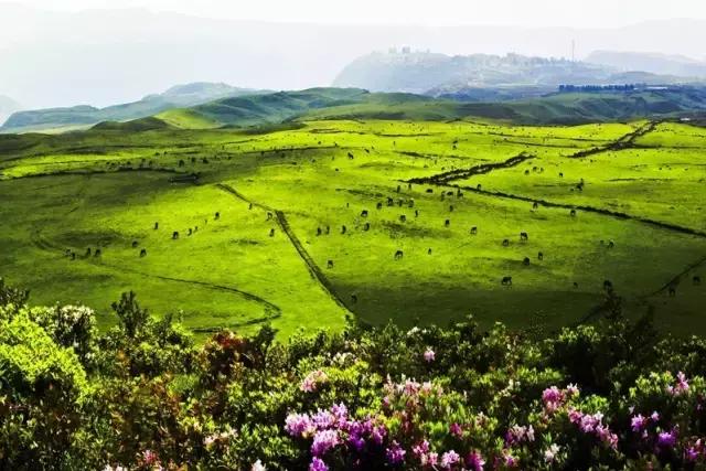 贵州旅游住宿攻略大全推荐,贵州旅游攻略几月份去好点
