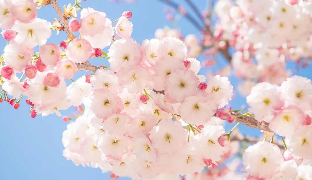 美过三亚!比厦门浪漫!中国这座海滨老城,去一次相当环游世界!