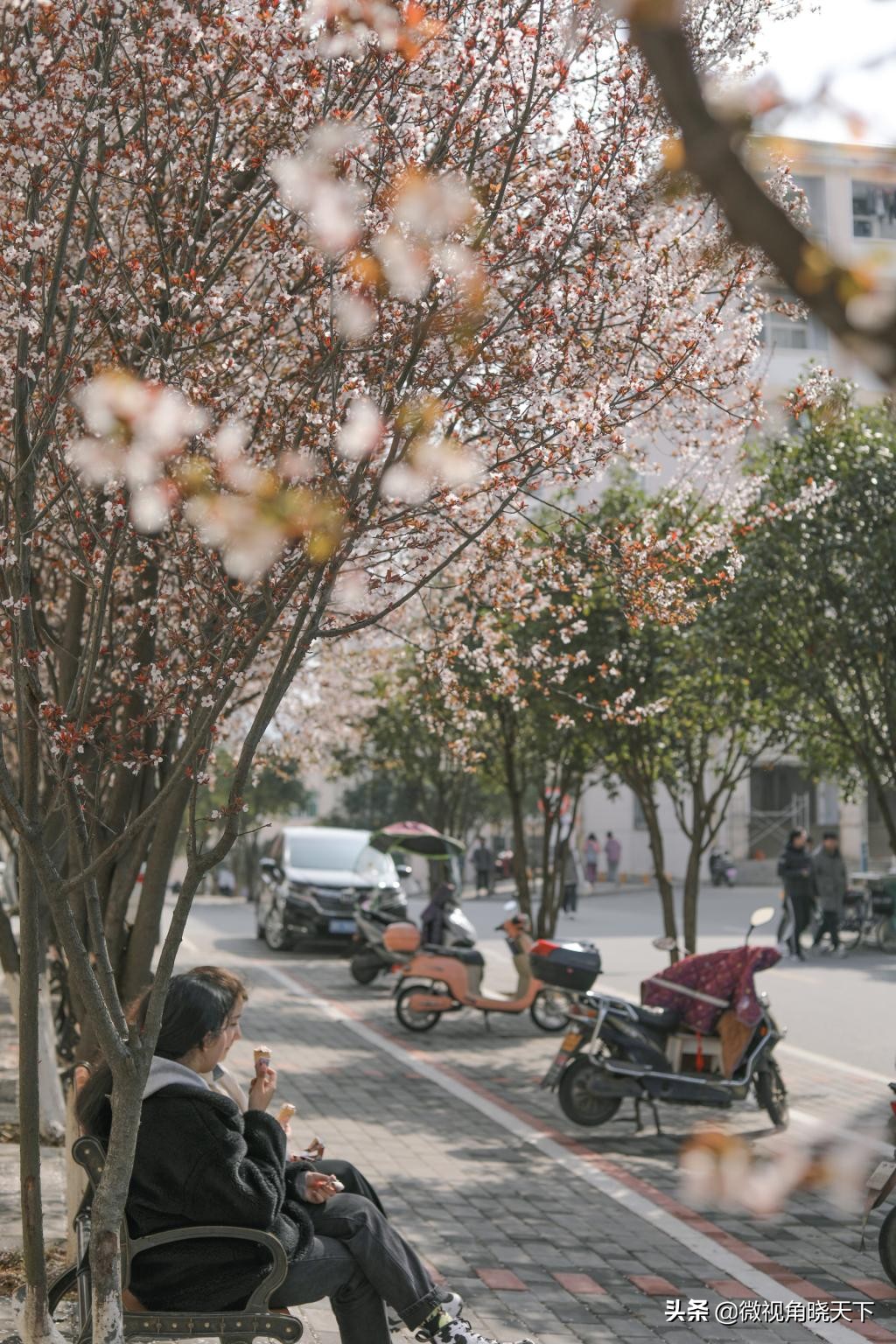 信阳师范学院：回眸但觉烟色浅，不知春意入师院