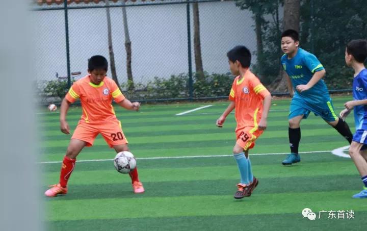 深圳市青少年足球锦标赛,深圳宝安青少年足球训练基地