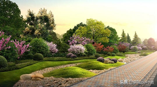 常见园林草坪病虫害杀菌剂有哪些,园林植物常见病虫害ppt