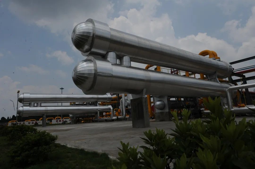 用行舍藏的意思,用舍行藏小说