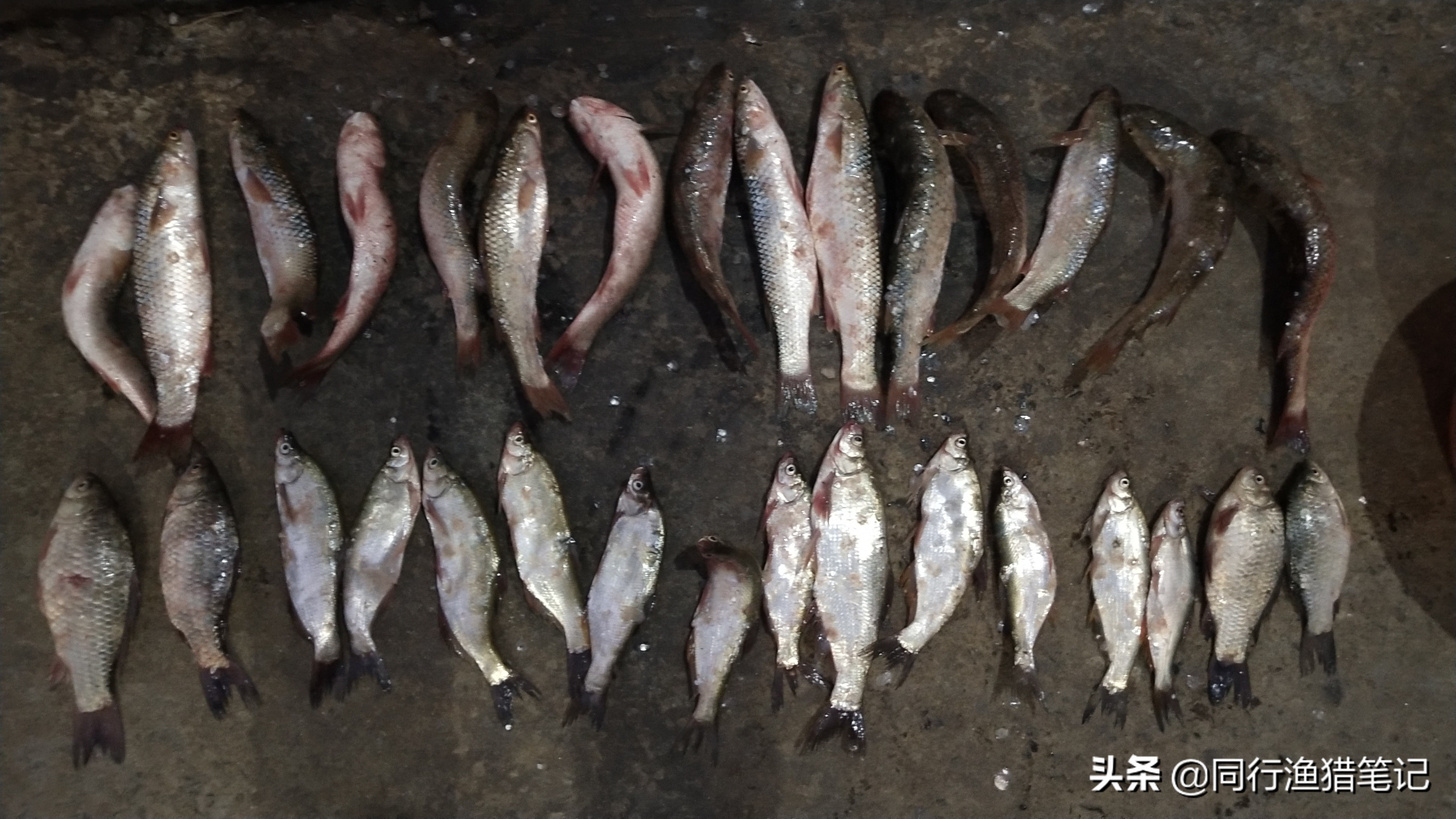 浮漂坏了怎么换,坏掉的浮漂有什么用