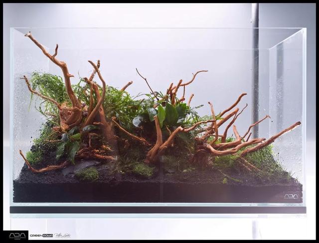 ada风格造景用什么底砂,鱼缸造景ada风格