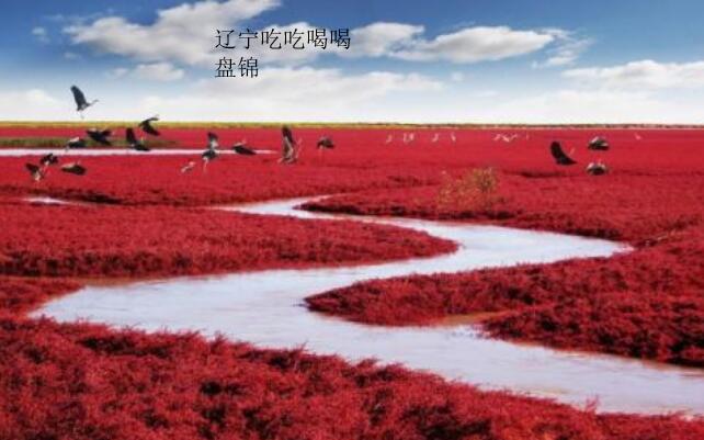 辽宁盘锦有什么吃的,辽宁吃喝玩乐一站式