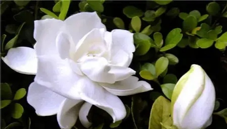 故事：不是最好的丈夫，是最合适的暖男