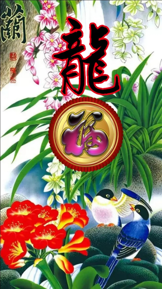 精美兰花壁纸图,兰花高贵壁纸