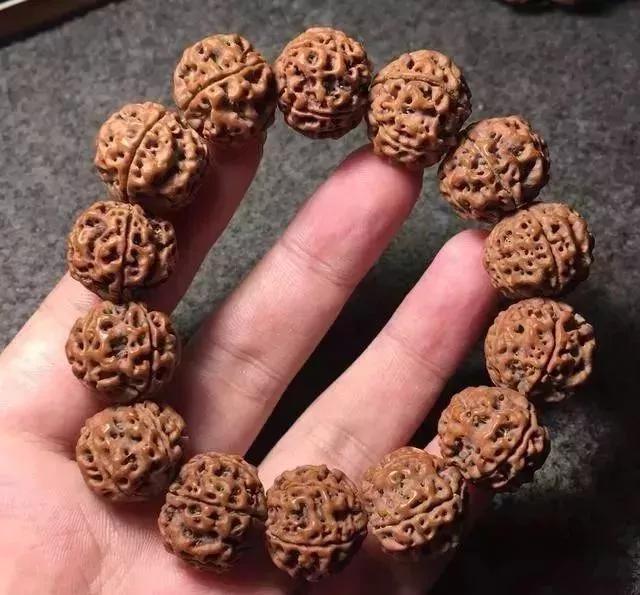 金刚菩提为什么不变色,金刚菩提为什么盘的色不均匀