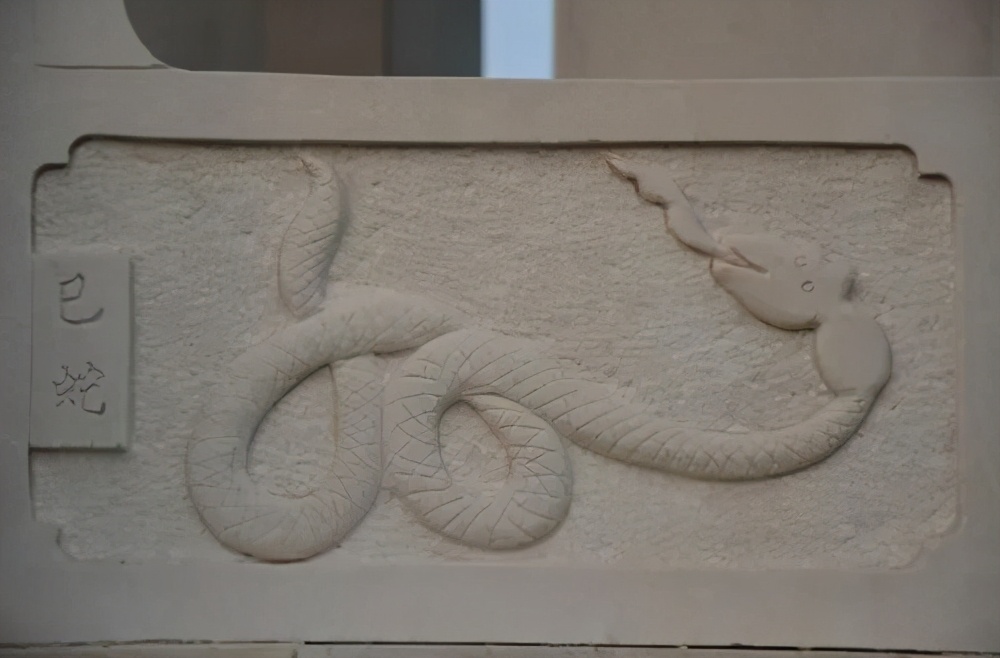 提着蛇尾用力一抖，能抖散蛇骨架吗？捕蛇生手不要去试