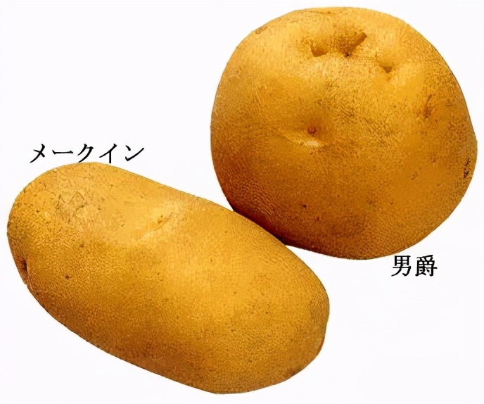 日式土豆沙拉用什么沙拉,日式土豆沙拉正宗做法