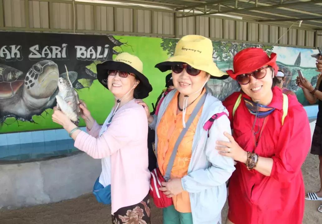 世界网红打卡地,全世界网红打卡地