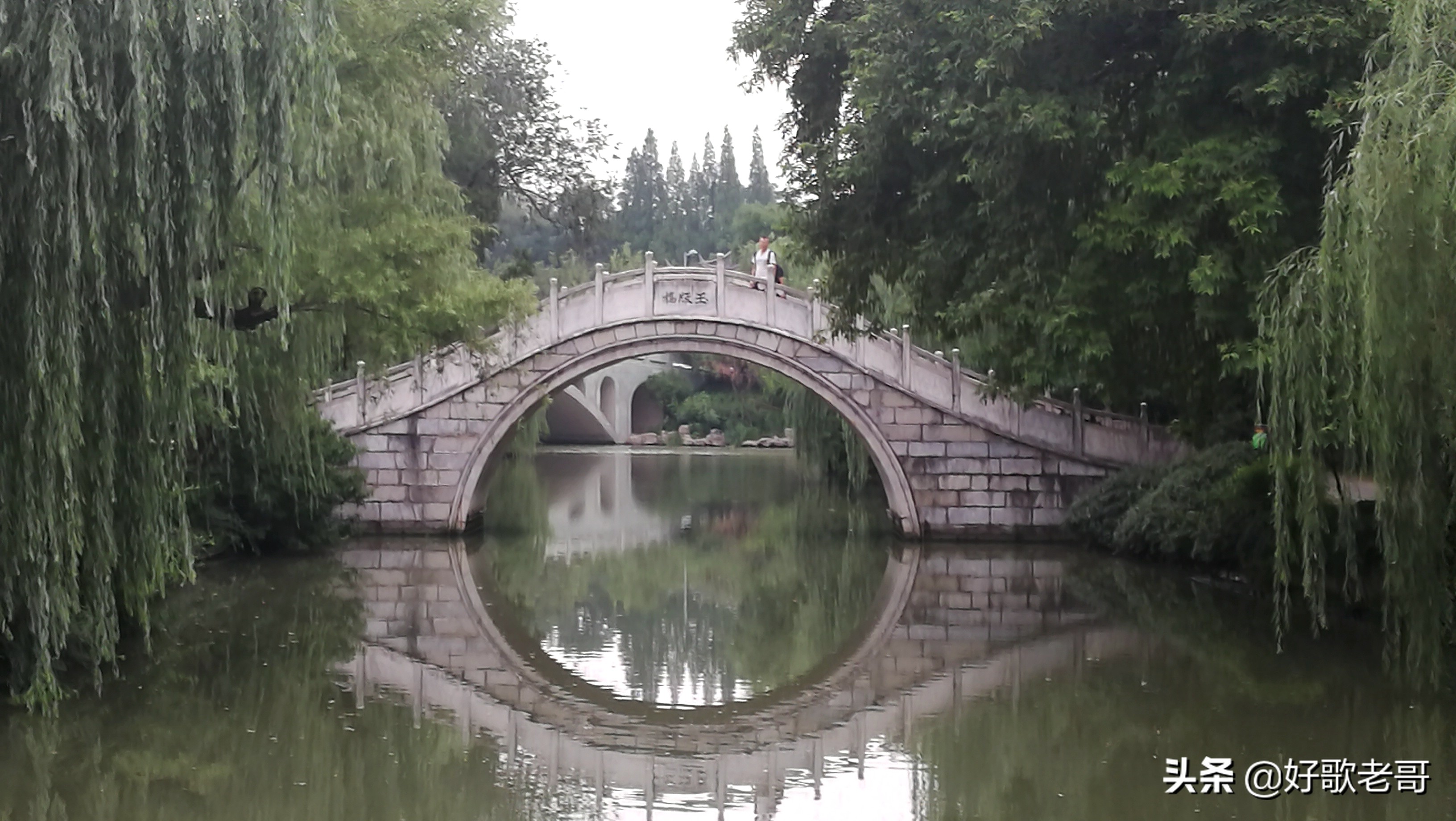 十里湖光，清澄缥碧，花木扶疏，连绵滴翠…瘦西湖游记