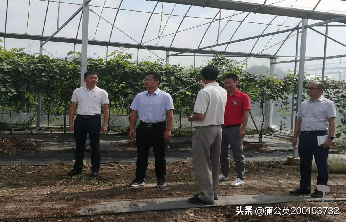 罗城县张联松,河池罗城县张联松