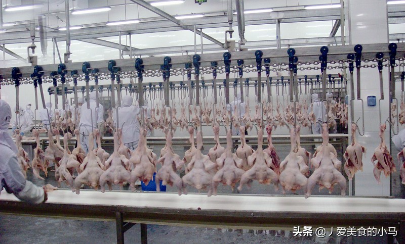 全网最火的炸鸡,炸鸡锁骨是什么肉