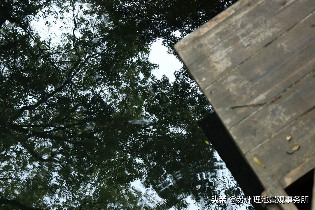 园林景观的文化特征,园林里有哪些文化