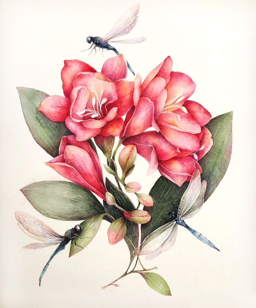 素材库找不到想要的视频怎么办,素材库的东西找不见了