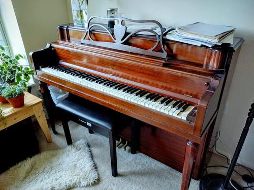 弹钢琴正确的手型和指法,弹钢琴在什么情况下运用缩指法