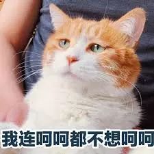 你可能上了个假公学