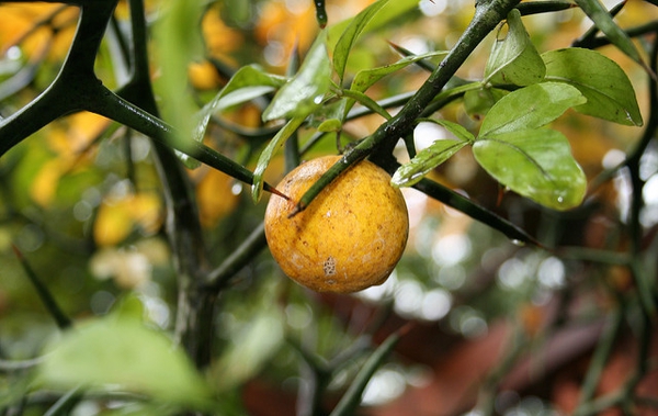 科学家破译地球生命,科学家解开人类的秘密