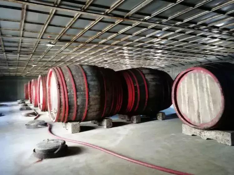 会听音乐的酒精灵——长白山酒业集团巡游