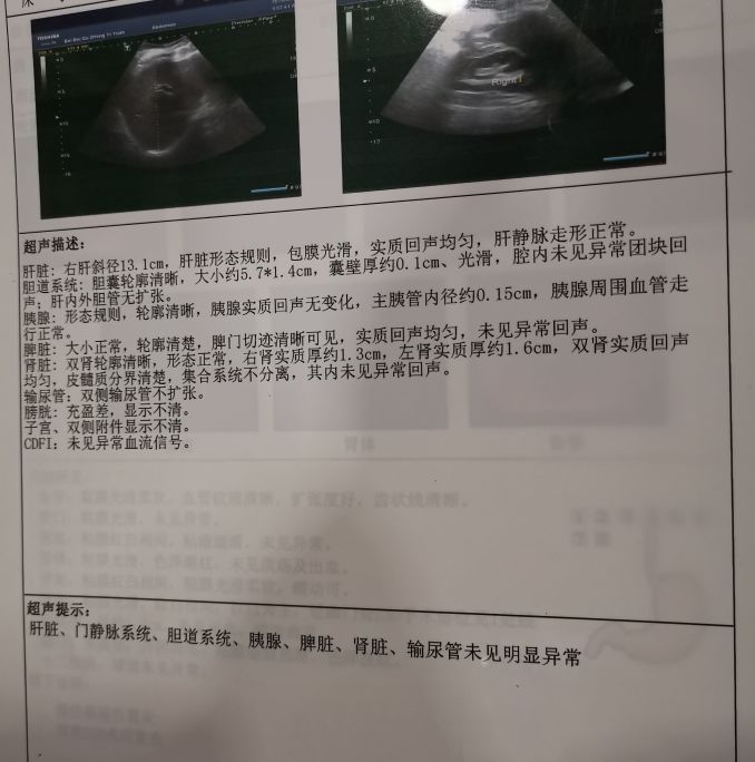 肚子痛大便次数多是什么原因,肚子痛大便次数多吃药就好