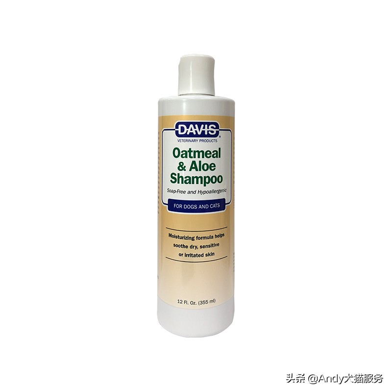 爱犬皮肤病是什么病,爱犬健康的注意事项