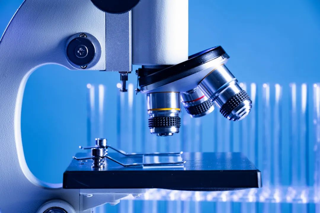 蒲公英根茶有杀死癌细胞的功效吗,蒲公英根泡水喝有什么功效和作用