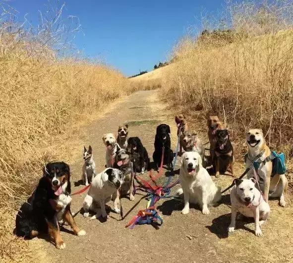 平时瓶盖都拧不开的小女生,平时拧不开瓶盖的女孩原视频