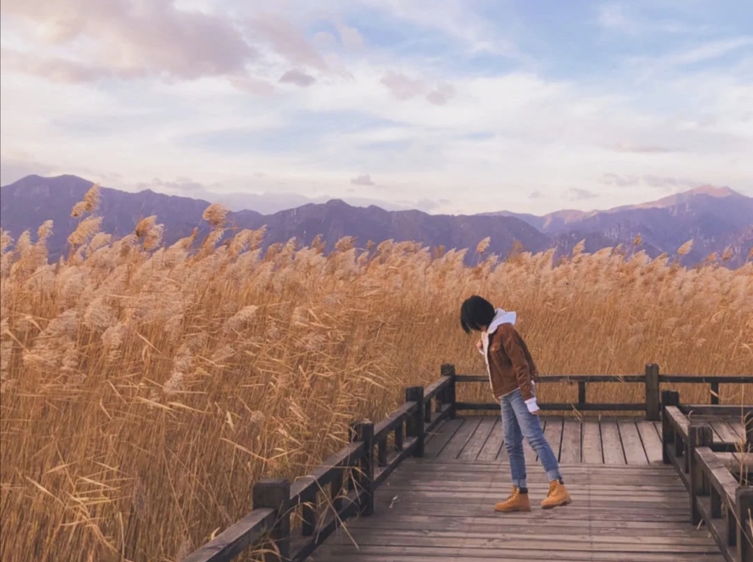 北京游玩攻略不需要门票,北京长城旅游攻略最佳方案