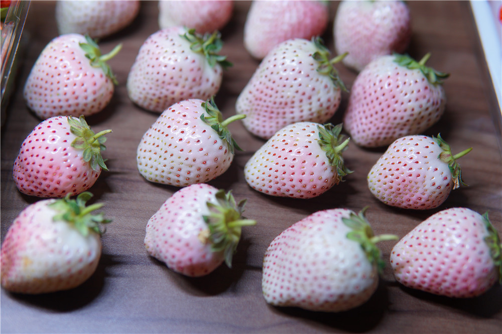 如何在网上买到真草莓,怎么在网上买正宗丹东草莓