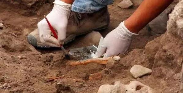 考古发现7300年前的双性人，族人因为恐惧将其杀死，*体下**刺入锐器