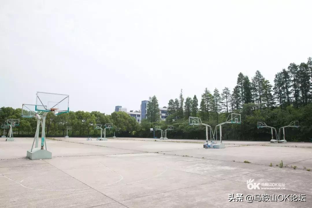 怀念在篮球场上挥汗如雨的日子,篮球场挥洒着青春与汗水的地方