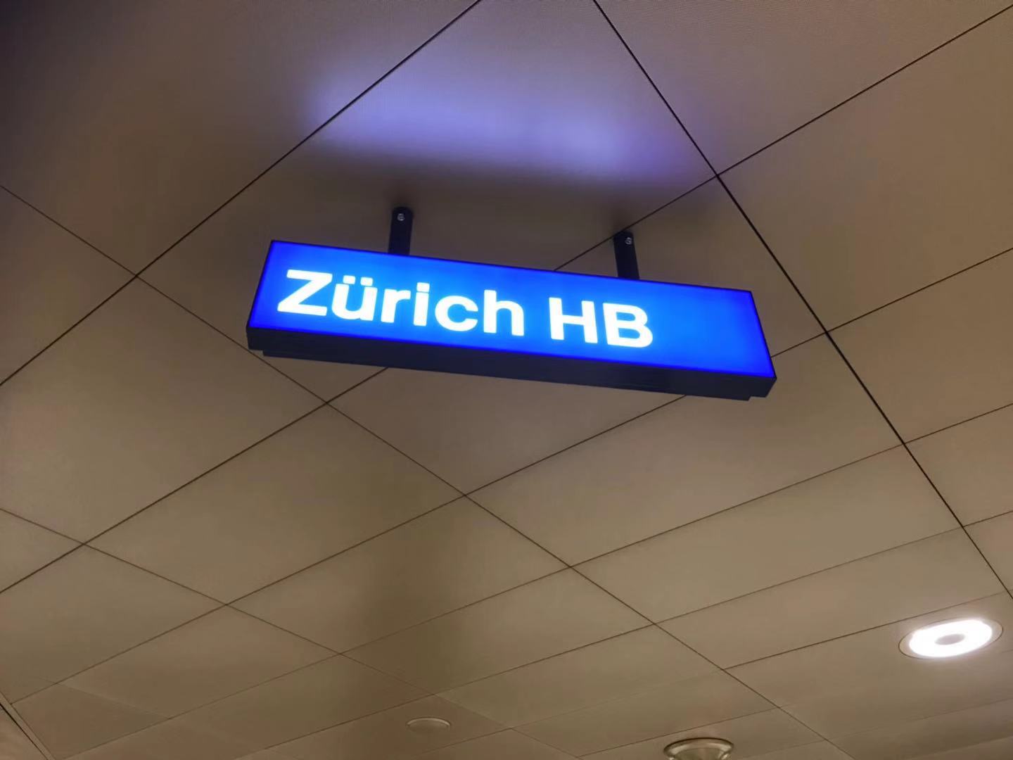 瑞士苏黎世博物馆大力神杯,苏黎世博物馆大力神杯