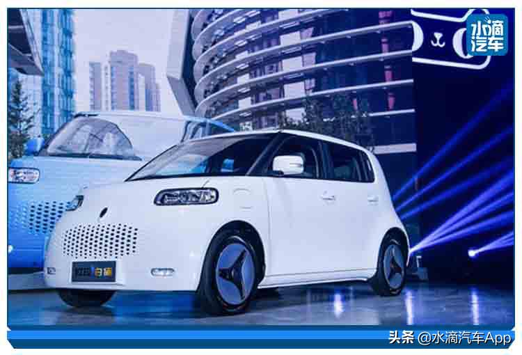 突然伪潮流的欧拉,能成为一只好猫么?