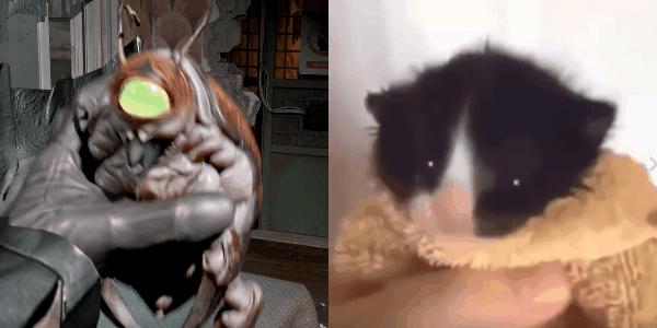 又一句国骂走红国外，被封杀的“意大利黑手”席卷油管