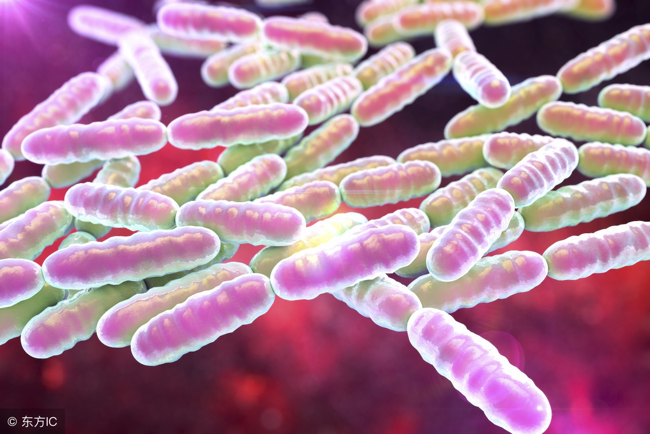 经常臭屁,臭屁多是哪种疾病的先兆