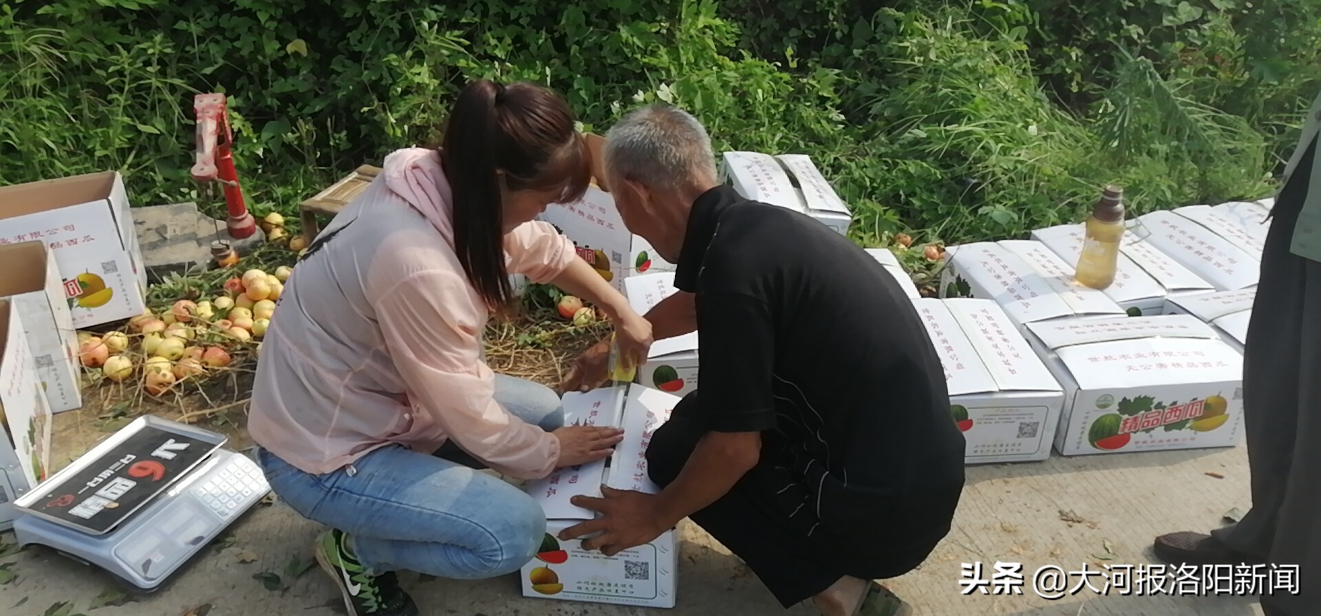 土地流转迟迟拿不到钱,农村土地流转金拖欠政策