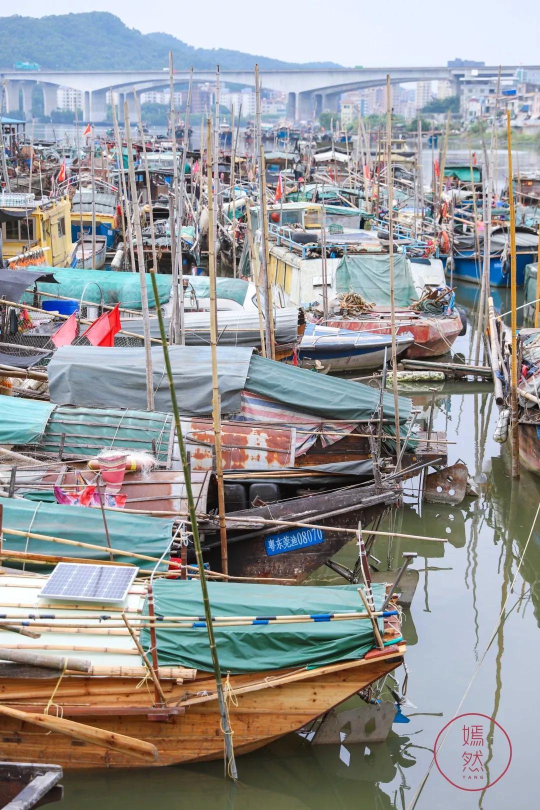虎门新湾鸡煲,虎门新湾十大老字号美食